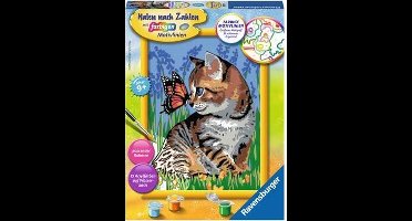 Ravensburger Schilderen op nummer Poes met Vlinder - Hobbypakket
