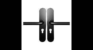 Deurkruk op schild - Zwart egaal - RVS - Cubic Colors - PC55 L-model 19mm Zwart egaal