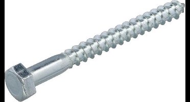 Hoenderdaal houtdraadbout verzinkt SW-13 zeskantkop 8 x 110 mm 100 stuks