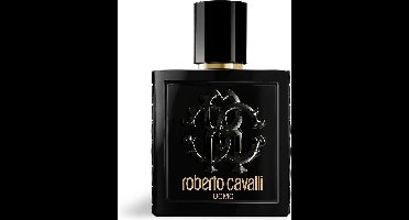 Roberto Cavalli Uomo parfum - Herenparfum met leer en vetiver noten - 100 ml