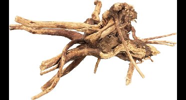 BIOART Spider Wood 10-15CM