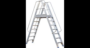 Solide Premium Professional Platform Dubbele Toegang - 7 Treden