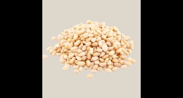 Tuana Kruiden - Pijnboompitten - Zak 1000 Gram - KZ0216