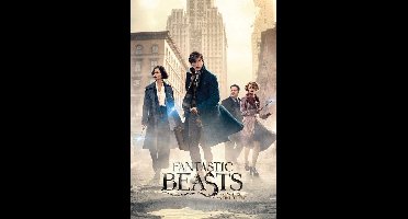 GBeye Fantastic Beasts and Where to Find Them Street Poster - 40x50 cm