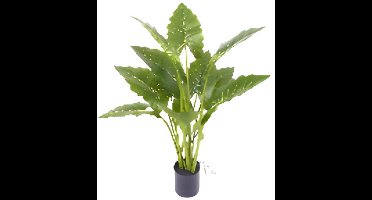 Allocasia groen 80 cm kunstplant Oosterik Home