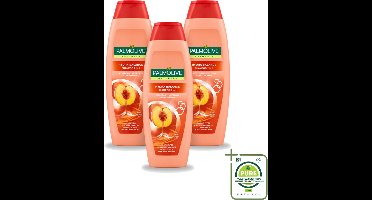 3 x Palmolive - Naturals - 2in1 Shampoo - Perzik - Hydra Balance - 350 ml - Grootverpakking - 2 In 1 Shampoo - Haar Reinigen - Haar Hydrateren - Perzik Extract - Haar Verzorgen