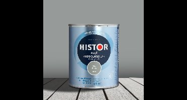 Histor Acryl Zijdeglans Lak Tin 6928 750 ml