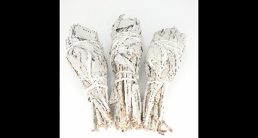 Witte Salie Smudge Fakkelvorm (3 stuks)