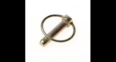 Dulimex Borgpen verzinkt 11m 9.73033011