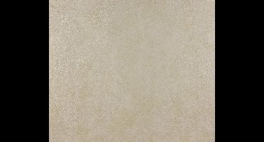 Dutch Wallcoverings Behang - beige