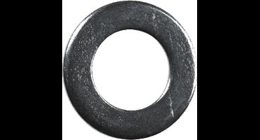A.S.F. Fischer sluitring FIS PROFI verzinkt M10 doos=100st, prijs=per doos
