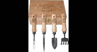 De Wit Bonsai set in houten doos