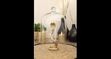 Luxe Glazen Stolp met Knop – Ø 18.2 cm – Hoogte 30 cm