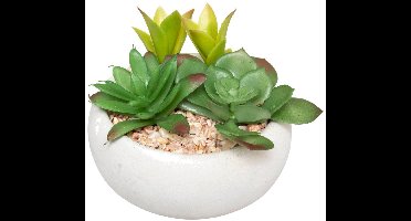 Kunstvetplant MIKI