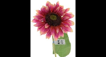 Everlands Zonnebloem Harlekijn Roze & Crème Ø 16 cm 74 cm