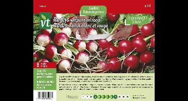 Zaadlint Radijs - 8 Meter Gemakkelijk te Zaaien Lint voor Knapperige Radijsjes