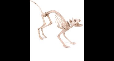 Skelet kat decoratie - Feestdecoratievoorwerp