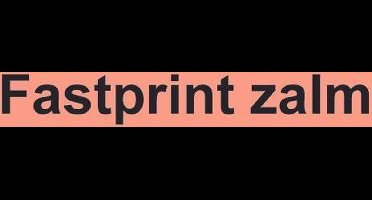 Kopieerpapier Fastprint Zalm A4 120gr