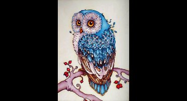Diamond Painting Groot - Uil