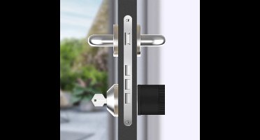 Slim slot met cilinder - incl. sleutel - Smart lock - Slim deurslot - Werkt met Smart Life app - Zwart
