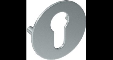 Cilinderrozet paar SF rvs mat PC