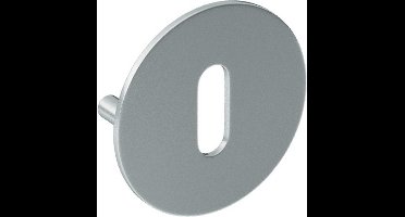 Sleutelrozet paar SF rvs mat SL