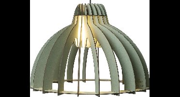Van Tjalle en Jasper | Granny Smith hanglamp - Dirty Mint| Bouwpakket | MDF (hout) | Mint groen | E27 fitting | Laser gesneden | Sfeer licht | Sfeervolle verlichting | Uniek Dutch Design