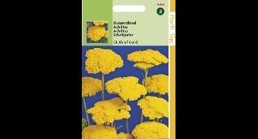 Duizendblad Bloemzaad - Cloth Of Gold - Geel
