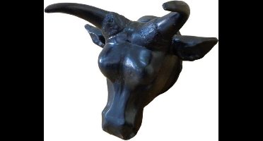 Deco4yourhome - Schedel - Metaal - Black Antique