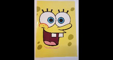 Spong bob lijntjes boek