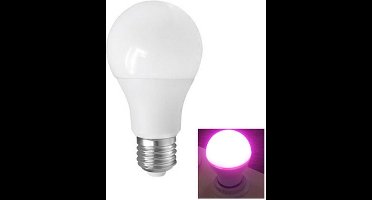 LED Kweek - E27 - 8W - Red4/Blue1