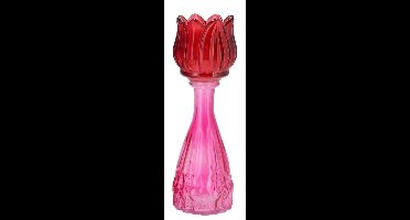 Bicolore dutch pink mix tulip vase 7x22cm