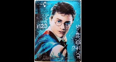 Harry Potter Celebrity Icons Collectie. Metalen wandbord in reliëf 30 x 40 cm.