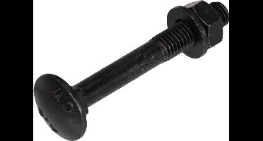 Blackline bevestigingsmaterialen - Slotbout met moer en sluitring – M5 t/m M8 (30–100 mm) - M6 x 50mm / 25