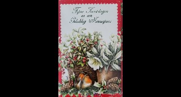 8 Kerstkaarten Roodborstjes Janneke Brinkman - 8 kaarten met enveloppen fijne feestdagen