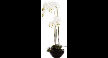 Kunst orchidee - keramische pot - h115