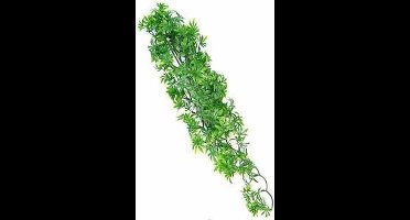 ZooMed - naturalistic flora - cannabis - medium - terrariumplant