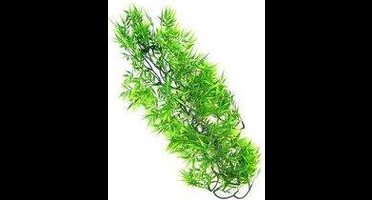 ZooMed - naturalistic flora - borneo star - medium - terrariumplant