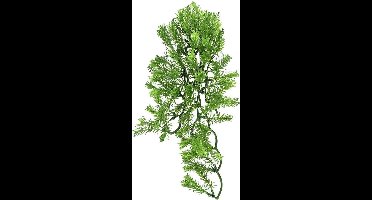 ZooMed - naturalistic flora - borneo star - small - terrariumplant