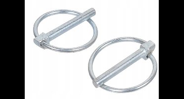 Kramp Borgpen met Ring 6x45 mm Verzinkt Staal