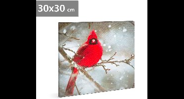 LED-afbeelding - rode vink - 30 x 30 cm 1 Stuks [58478]