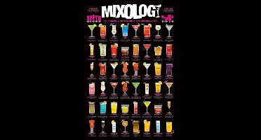 Pyramid - Mixology Maxi Poster