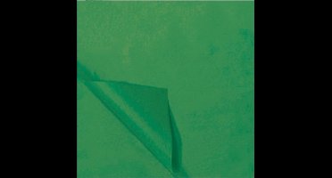 Haza Original Rol Zijdevloeipapier 50 X 70 Cm Groen