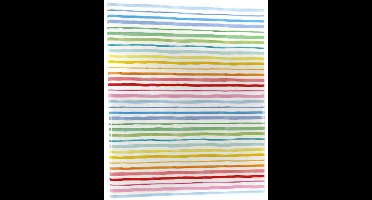 Regenboog ringband 2 ringen BTS030.