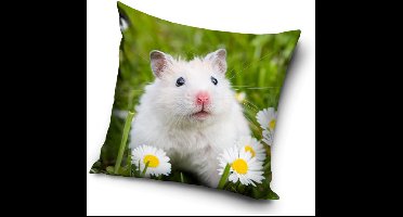Dieren Muiskussenhoes 40*40 cm