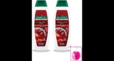 2 x Palmolive Naturals - Shampoo - Brilliant Color - Voor Gekleurd Haar - 350 ml - Bulkverpakking - Gekleurd haar - Haarkleur behouden