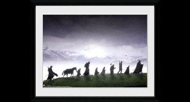 Gb Eye Poster In Lijst Lord Of The Rings Fellowship 30 X 40 Cm