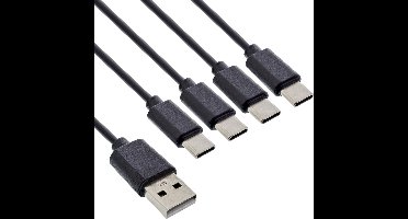 USB-A naar 4x USB-C - 2,25 meter - Zwart