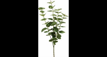 Van Manen Kunstplant Eucalyptus Jewel 64 Cm Zijde Groen