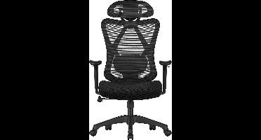 Hoppa! - Bureaustoel - Ergonomisch, met verstelbare lenden- en hoofdsteun, zwart